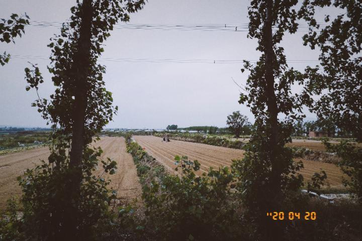 1589070888079029541.png 1589070888079029541.png